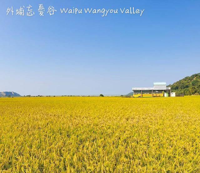 Backpacker 41 Hostel - Taizhong Zewnętrze zdjęcie